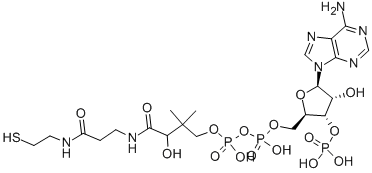 Coenzyme A